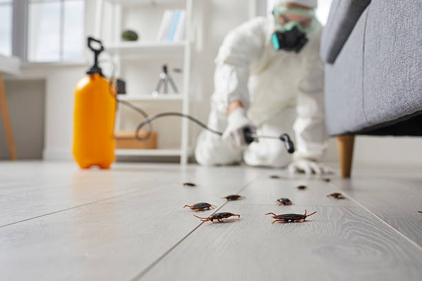 Commercial Kitchen Cockroach Control in Wellsville